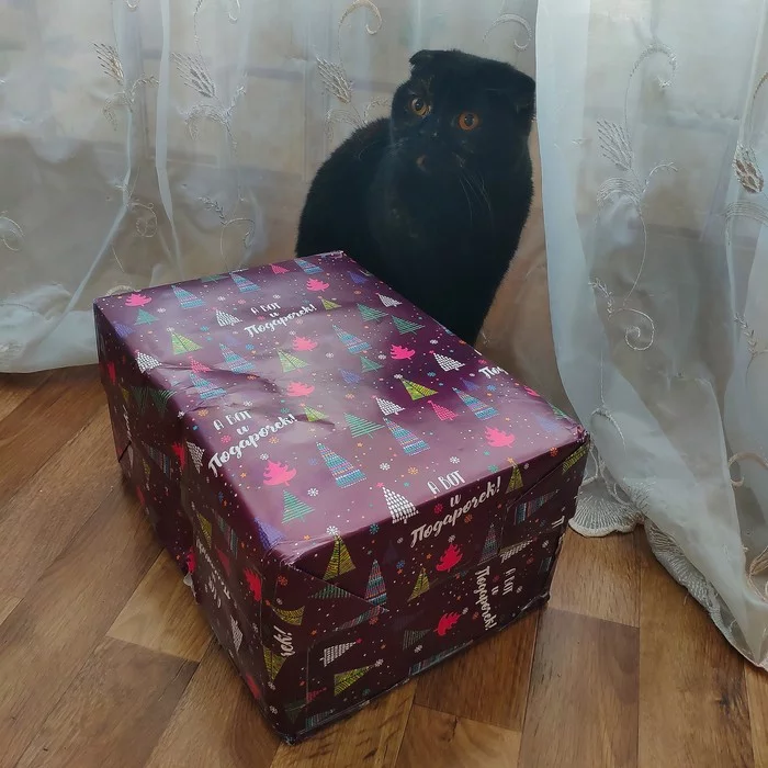 New Year's ADM: Tomsk-Minsk - My, Gift exchange, Gift exchange report, New Year, Longpost