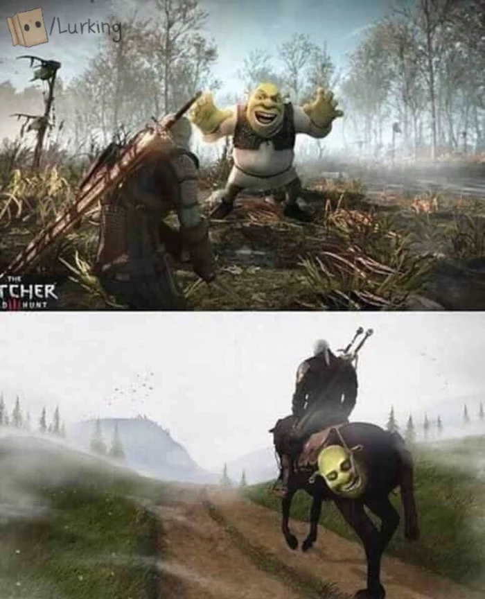 There was a boy and there is no boy - Humor, Shrek, Witcher, Images