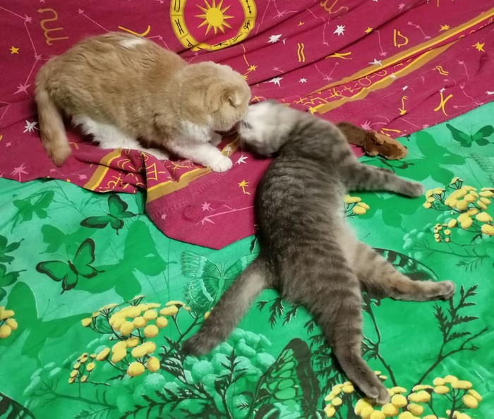 �������