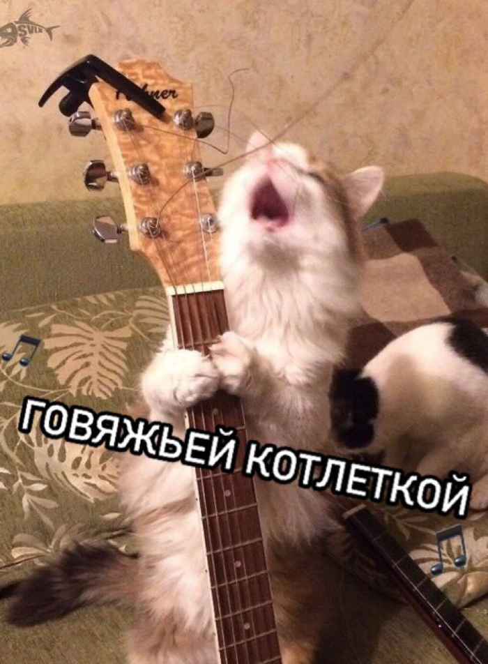   , , , , ,  , 