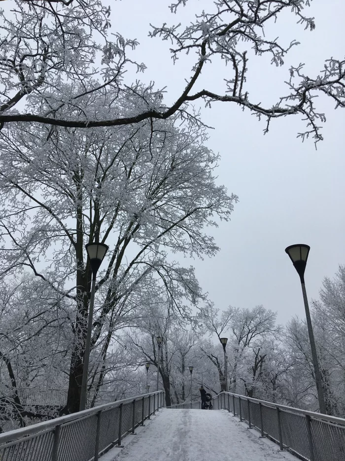 Зимняя сказка - Длиннопост, Снег, Зима, Пейзаж, Фотография, Парк, Моё, Фото на тапок