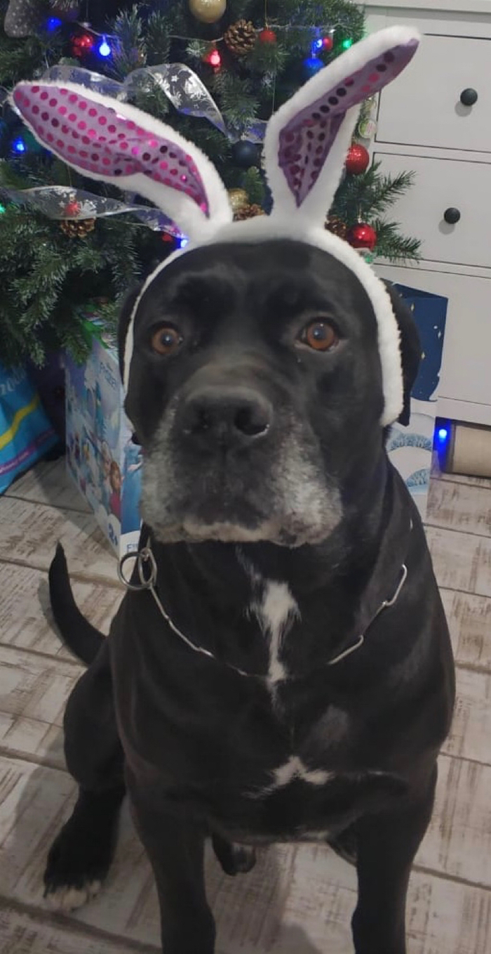 � ��� ����-�����