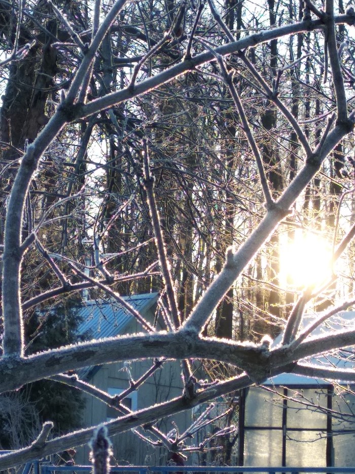 � �� ������� ����