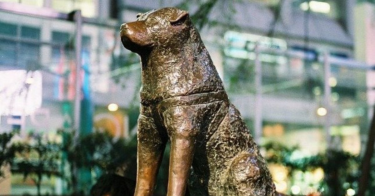 Хатико в каком городе. Станция Сибуя Япония Хатико. Памятник Хатико в Токио. Памятник собаке Хатико в Японии. Памятник псу Хатико в Японии.
