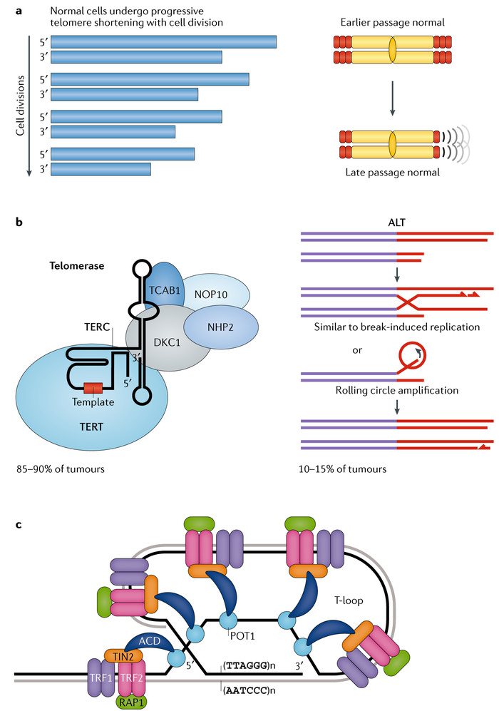 ��������: ����� ��������� ������������ ������� ��� �������� ��������� � ���-�� ������ ����������
