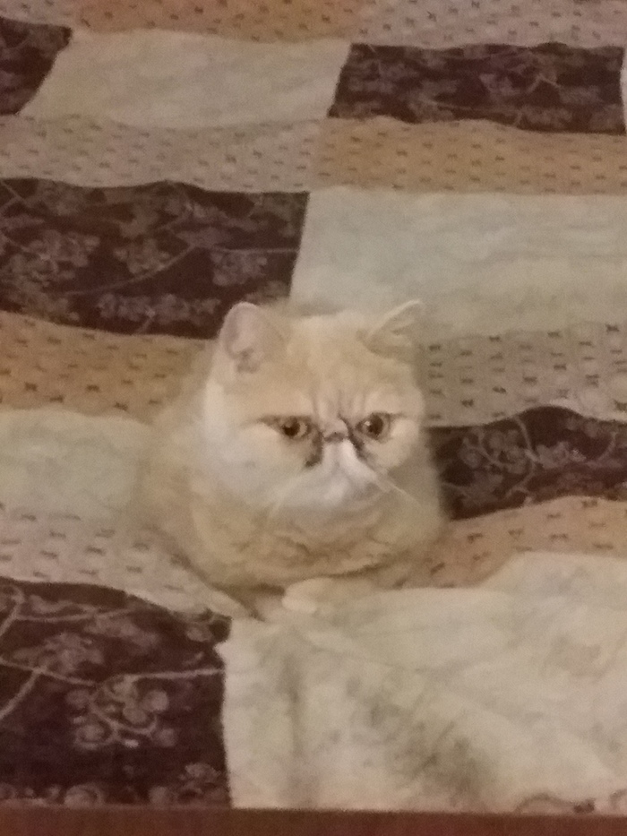   /  ... ,  ,  , , , 
