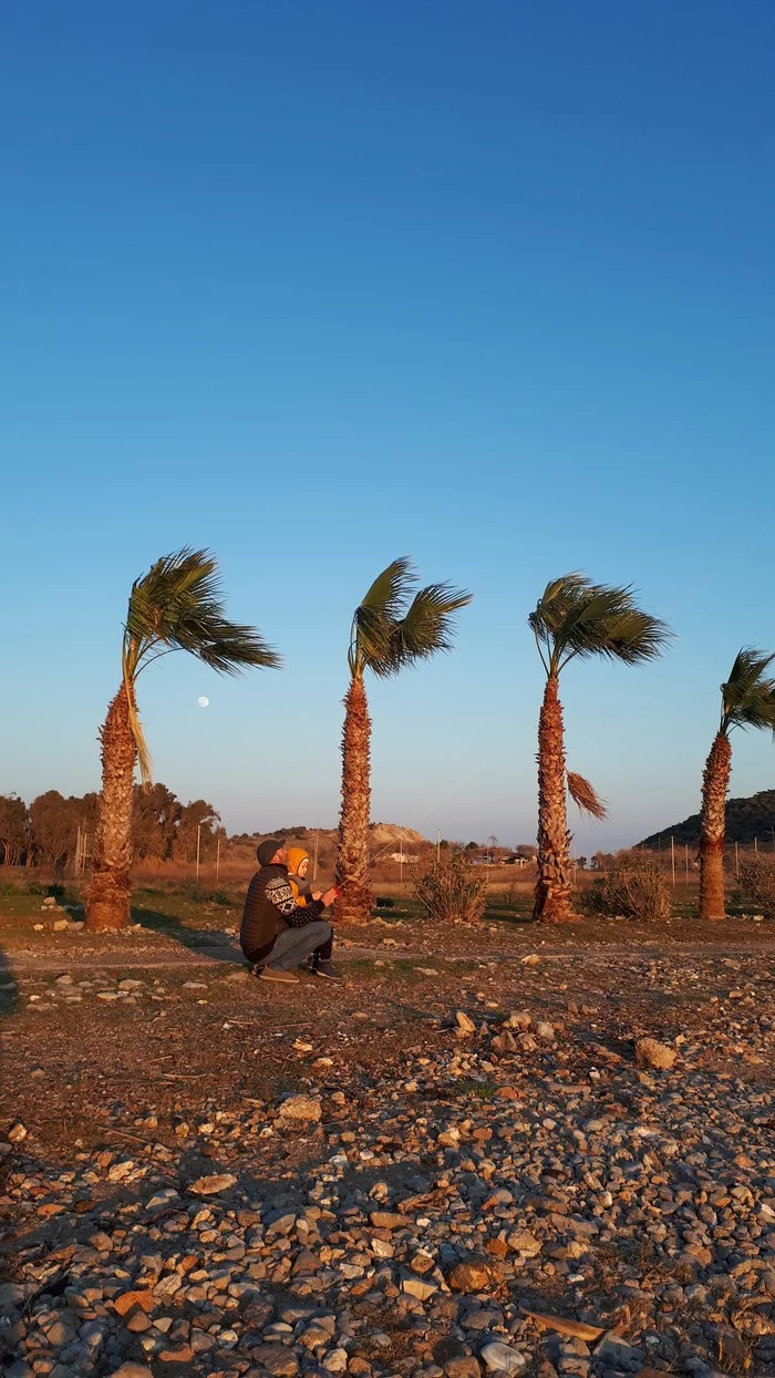 On gazelle next to Turkey... - Turkey, Gazelle next, Travelers, Auto Camper, Longpost