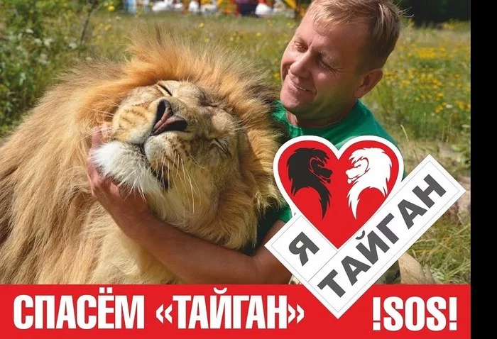 Let's save TAIGAN with the whole WORLD!!! - My, Oleg Zubkov, Taigan Lions Park, Video, Crimea, Lawlessness, Lawlessness of justice, Raider seizure, Raiding, Zoo