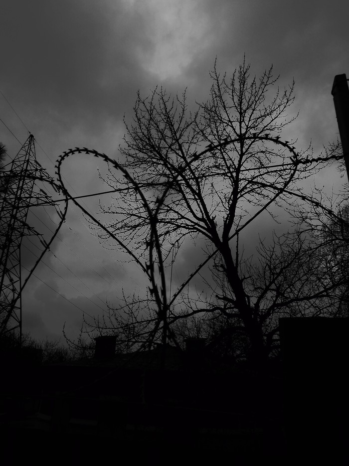 Черно-белое