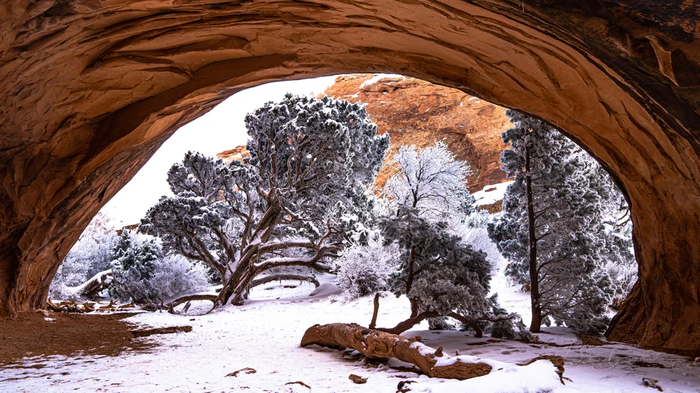 "Арка Навахо", Национальный парк Арчес, США