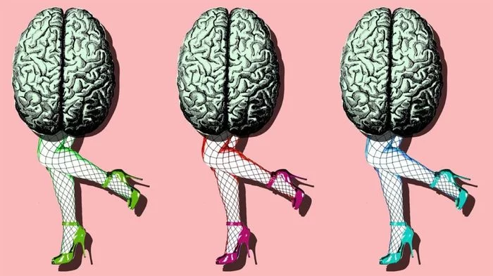 THE BRAIN AS THE MOST ELEGANT HUMAN SEXUAL ORGAN - NSFW, My, Love, Relationship, Excitation, Sex, Facts, Interesting, Brain, GIF, Longpost