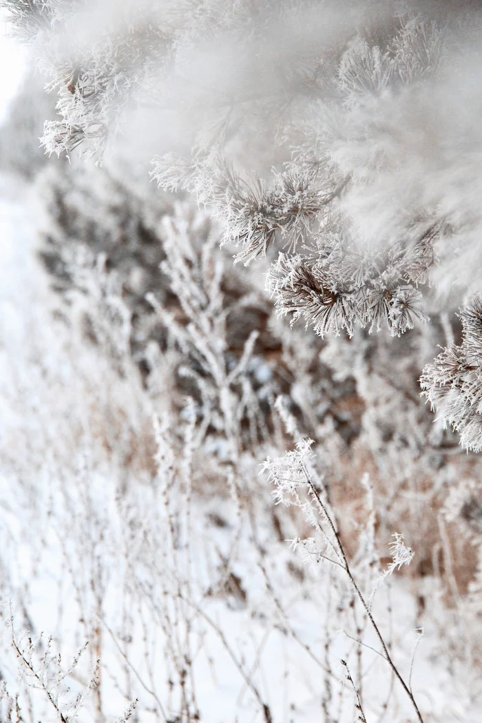 It's just frozen water - My, Winter, Canon, Longpost