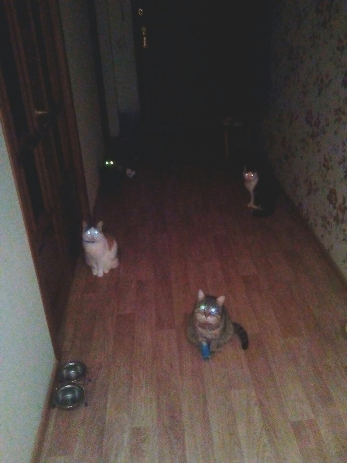 Как ты успеваешь высыпаться куда. 1578957231130171699. Как ты успеваешь высыпаться куда фото. Как ты успеваешь высыпаться куда-1578957231130171699. картинка Как ты успеваешь высыпаться куда. картинка 1578957231130171699. Я вот это в таких моментах вспоминаю Как ты успеваешь высыпаться куда. 1578957231130171699. Как ты успеваешь высыпаться куда фото. Как ты успеваешь высыпаться куда-1578957231130171699. картинка Как ты успеваешь высыпаться куда. картинка 1578957231130171699. Я вот это в таких моментах вспоминаю