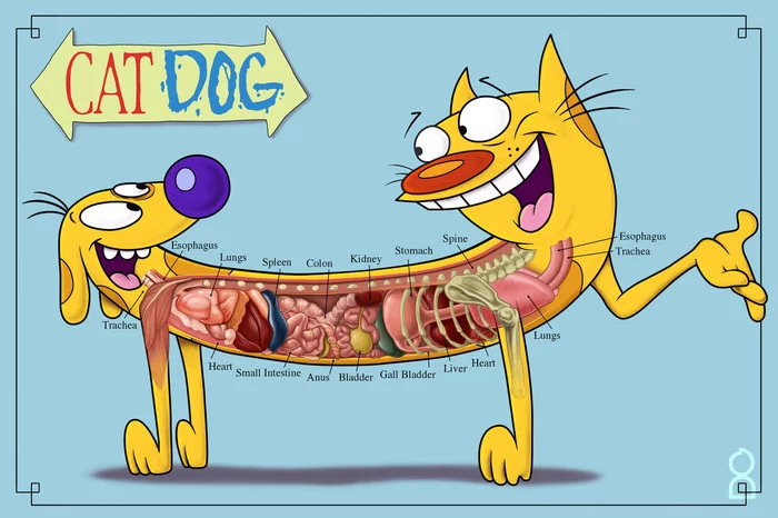 A little nonsense about Cotops - My, Catdog (cartoon), Abomination, Theory, Mat, Light addiction