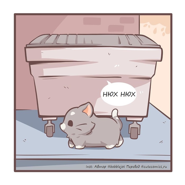      , , , -, , , , Bobblejot