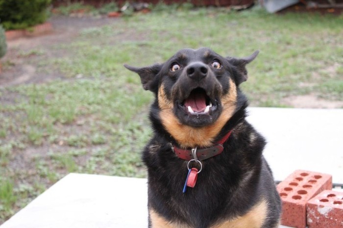 ������(��������) ��������, � ������ ������ ))