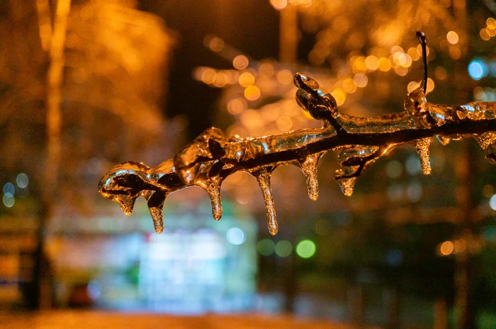 Freezing rain - My, The photo, Macro, Ice, Winter, Longpost, Freezing rain, Macro photography