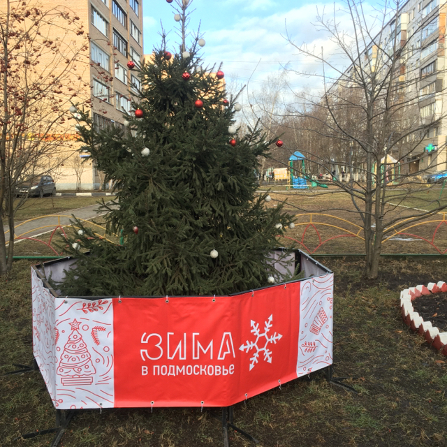 Зима в подмосквье