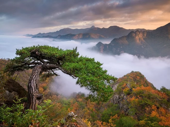 Over Chungcheongbuk-do Province, South Korea - The mountains, South Korea, beauty, The photo