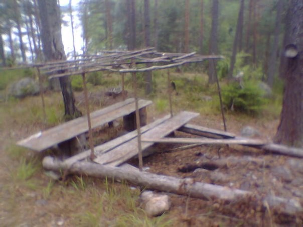 Vacation on the lake as a means of strengthening the family - My, Nature, Karelian Isthmus, Hike, Leisure, Longpost