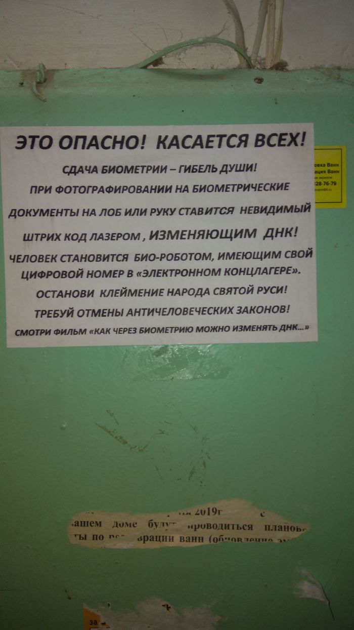 ��� 2020 ���