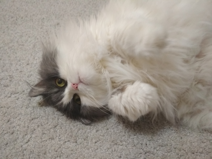 ������� �� �������� ������