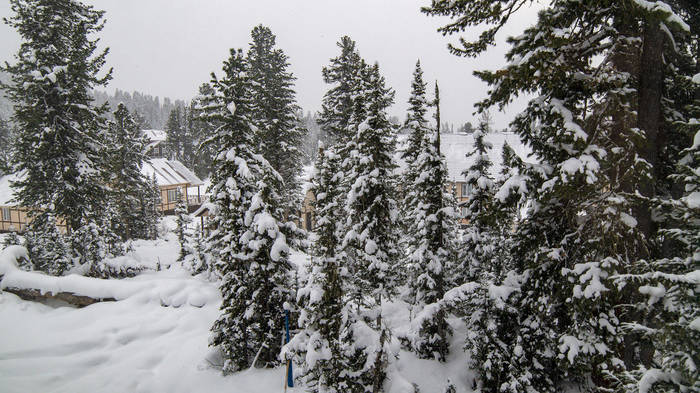 База отдыха Ергаки, зимой: где жить, чем питаться и что там делать? Ергаки, Спящий Саян, Длиннопост