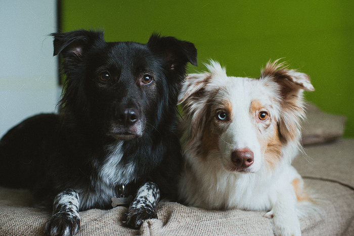 �������, �� ������������� ����������������