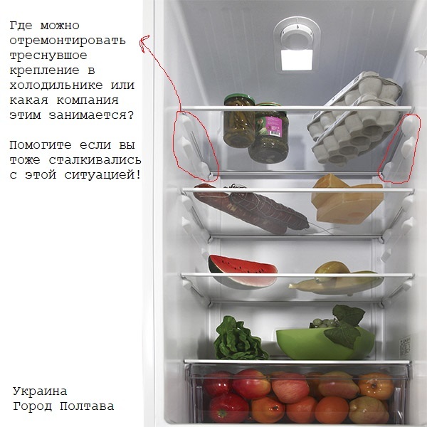 Ремонт и замена полки холодильника в Спб: цена