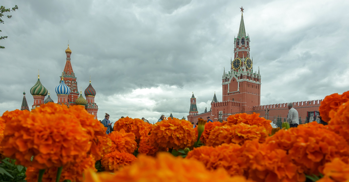 Цвета москвы. Цветы на красной площади Москва. Цветы в сквере Кремля Москва. Красная Москва цветы. Кремль площадь цветы люди.