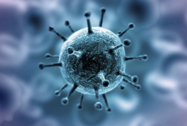 The Chinese coronavirus has already killed 26 people. What is known about him? - My, Coronavirus, Virus, The medicine, Health, Longpost