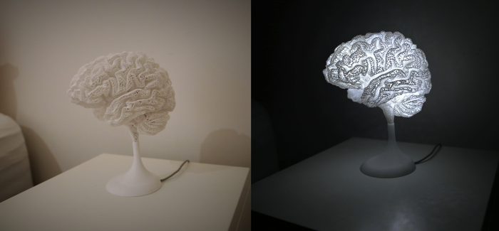 Умная лампа Лампа, Мозг, МРТ, 3D печать, Рукоделие без процесса, Своими руками, Необычное