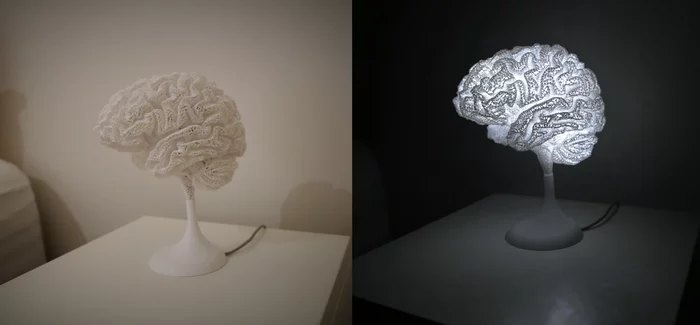 smart lamp - Лампа, Brain, MRI, 3D печать, Needlework without process, With your own hands, Unusual