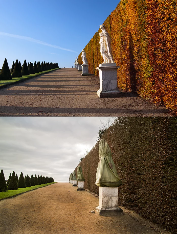 Autumn and winter in Versailles - My, France, Versailles, The park, Autumn, Winter, Seasons