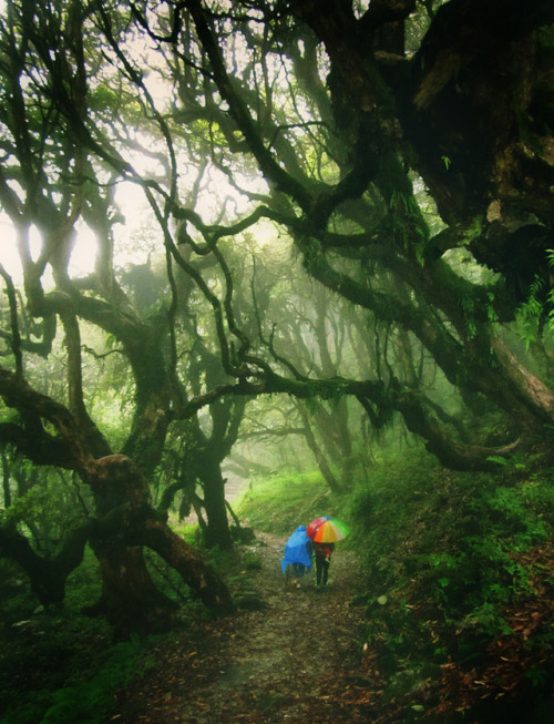 ��� � ������