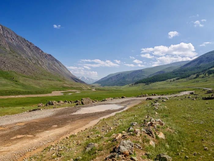 Sakhalin - Altai 2019: to the mountains! - My, Road trip, Altai Republic, Wild tourism, Camping, Travel across Russia, Toyota hilux, Longpost