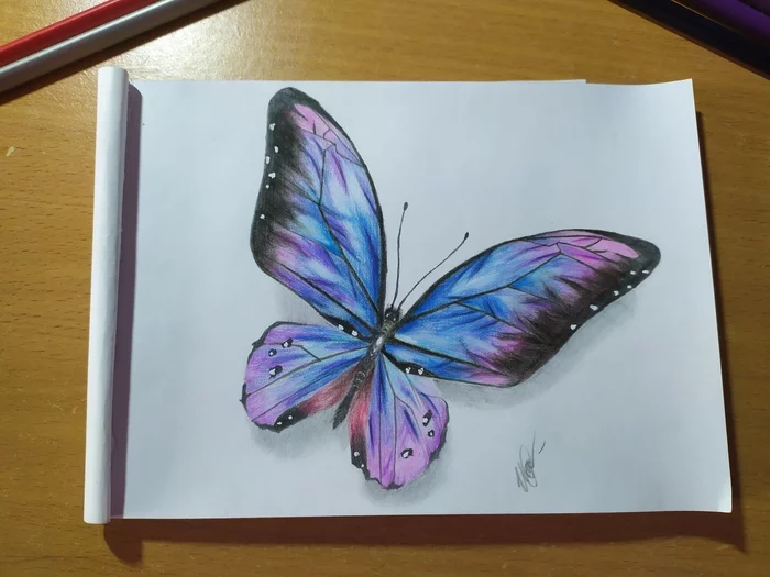 Butterfly - My, Insects, Colour pencils, Drawing