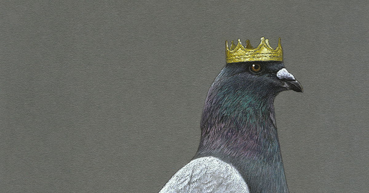 Птица с короной на голове. Король голубей. Голубь с короной. Голубь царь. Голуби лев толстой