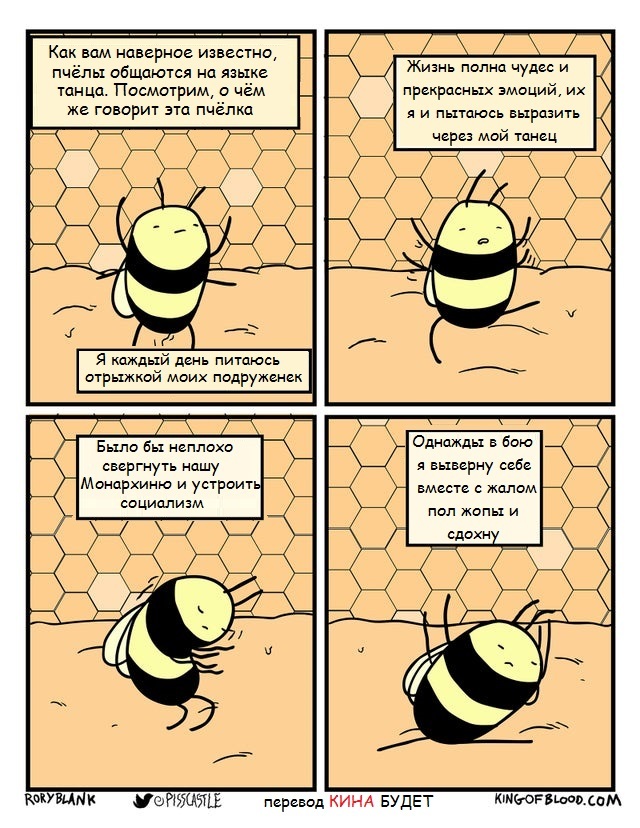 ������ ������� ��������