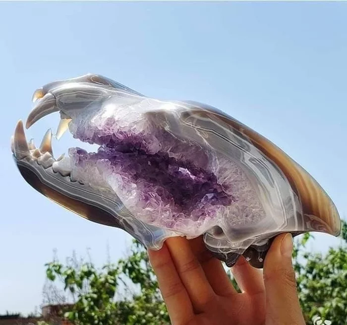 Amethyst skull - Scull, Amethyst, Reddit, Geode, beauty