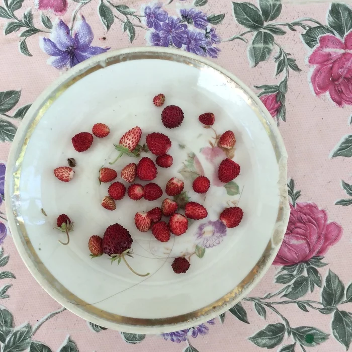 Photos with the taste and smell of summer - My, Berries, Strawberry, Summer, Life in the country, Dacha, Yummy, Summer is coming