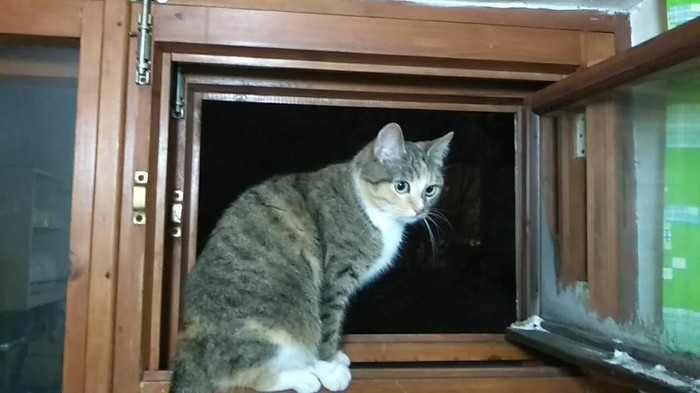 На улице минус двадцать