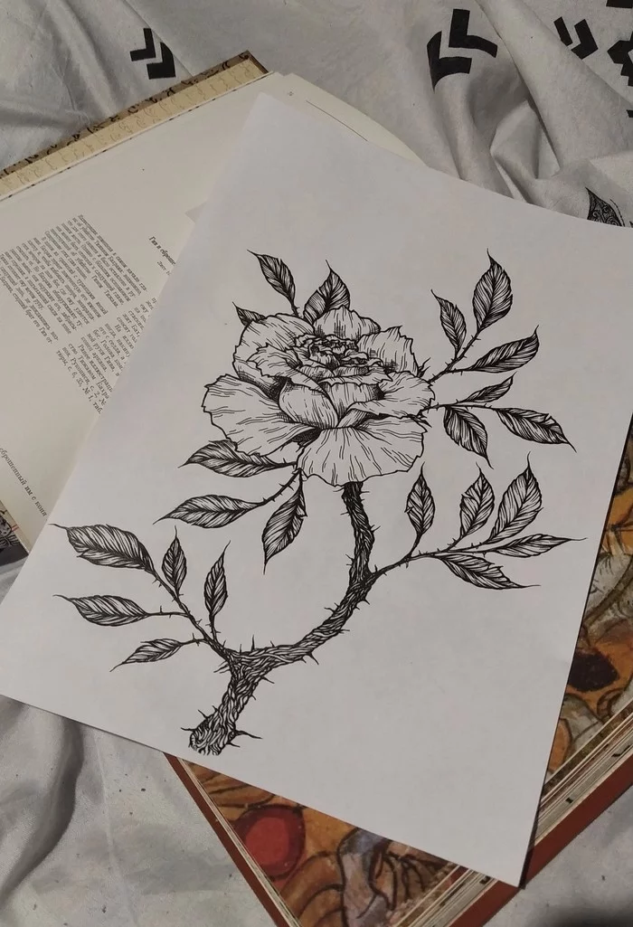 Allow me to share - My, Drawing, Art, the Rose, Artist, Longpost