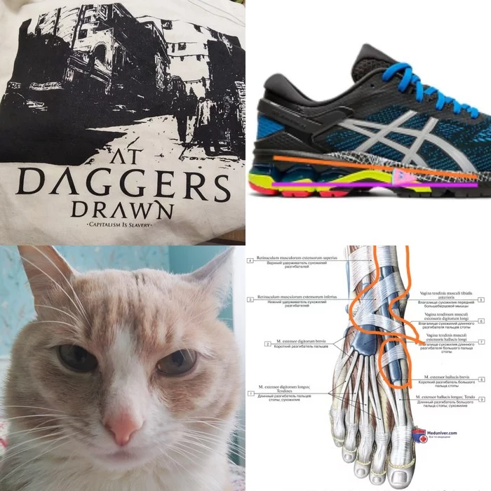 Thick soles and running injuries - My, Run, Running technique, Pureraces, cat, Ultratrail, Longpost