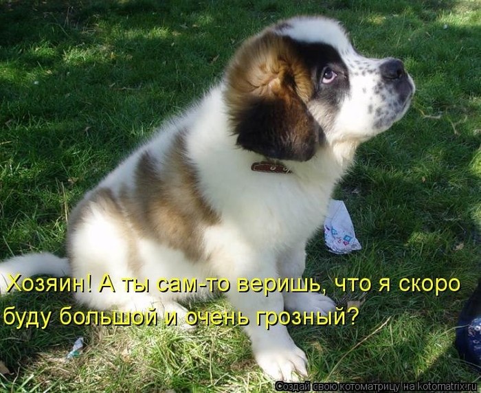 Милота вопрошает