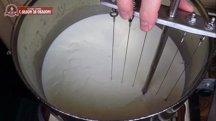СырТетдеМаун (Tetede Moine). Рецепт Швейцарского сыра Сыроделие, Сыр, Рецепт, Еда, С дедом за обедом, Видео рецепт, Видео, Длиннопост