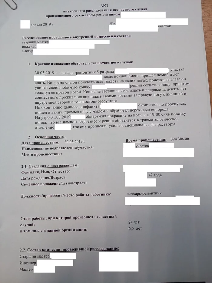 Межвидовое непонимание в быту - Моё, Травма, Кот, Расследование, Непонимание, Конфликт, Комиссия, Производство, Длиннопост