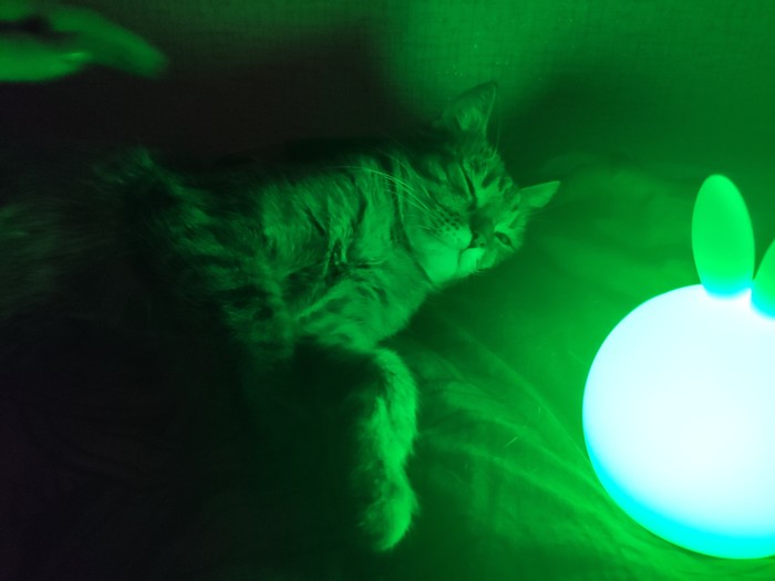 Помогите вспомнить название игры