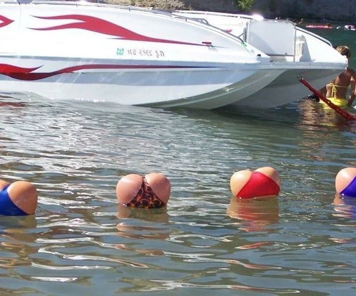 Buoys - NSFW, Humor, Buoys, Swimming