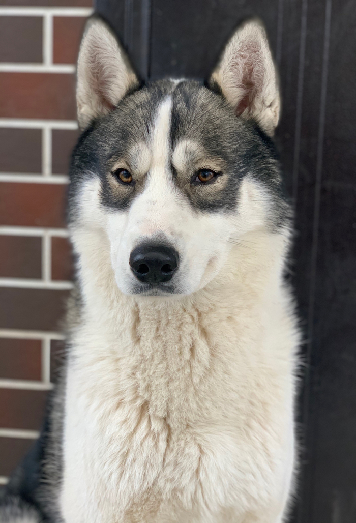 �������, �� ���������. ���� �� � �� ����� ��� ��